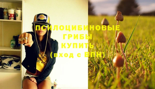 тгк Карталы