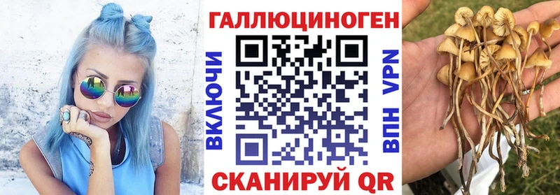 kraken вход  Фролово  Галлюциногенные грибы Magic Shrooms 