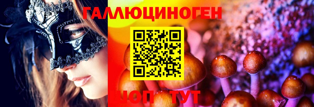 Фролово  Псилоцибиновые грибы Cubensis  Вход с VPN 